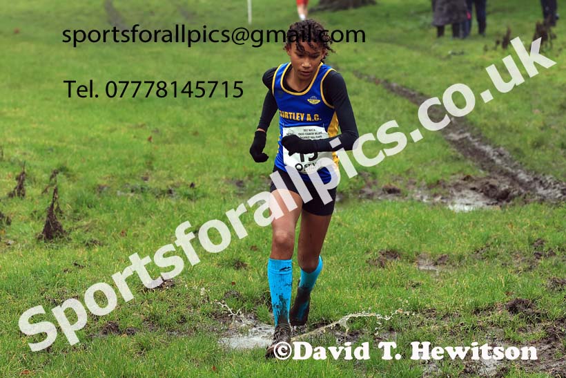 Girls under-13s 2023 NECAA Cross Country Relays, Thornley Hall Farm, Peterlee, County Durham. Photo: David T. Hewitson/Sports for All Pics